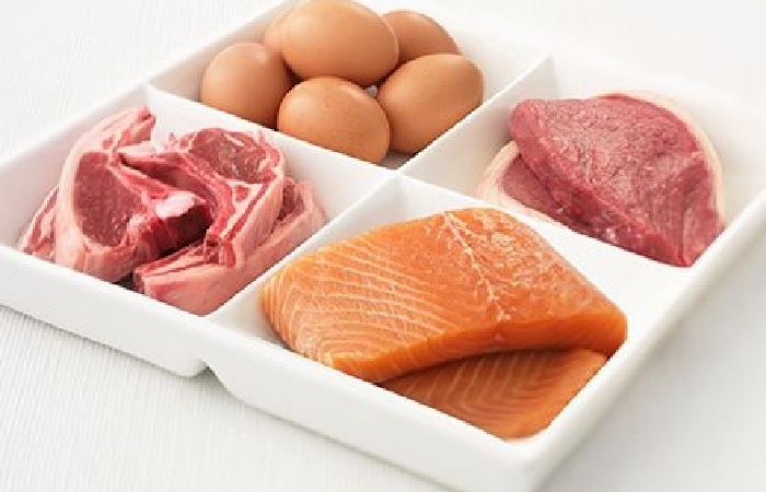 What are Protein Foods?