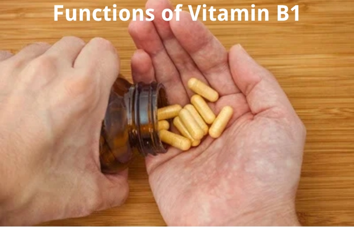 Functions of Vitamin B1