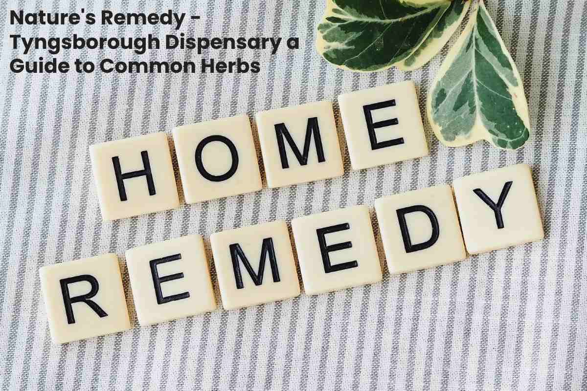 Nature's Remedy Tyngsborough Dispensary a Guide to Common Herbs