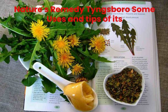 Nature's Remedy Tyngsboro Some Uses and tips of its