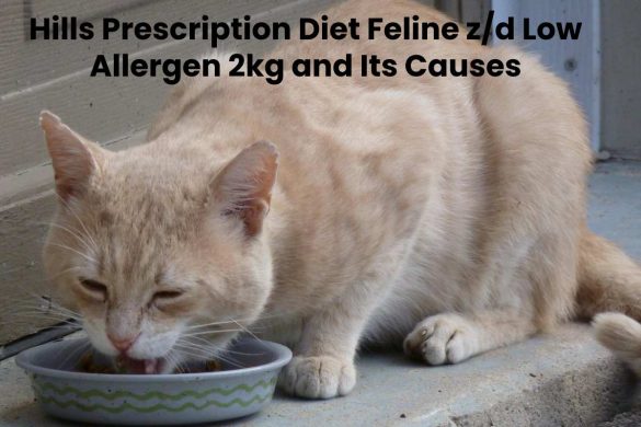 Hills Prescription Diet Feline z/d Low Allergen 2kg and Its Causes
