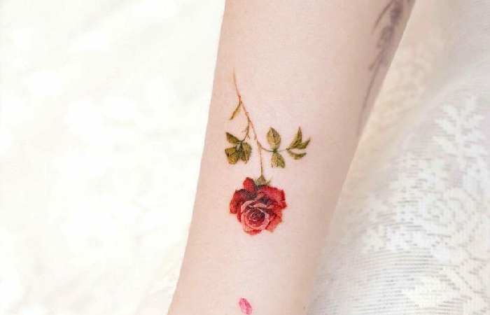 What Colour for a Rose Tattoo?