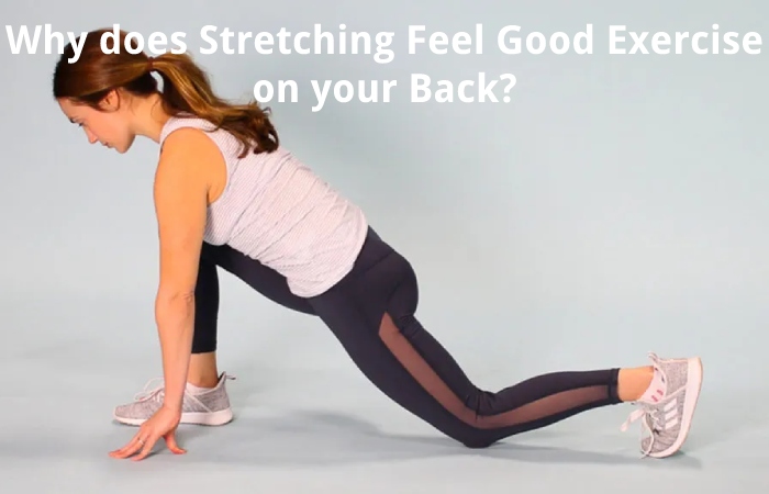Why does Stretching Feel Good Exercise on your Back?