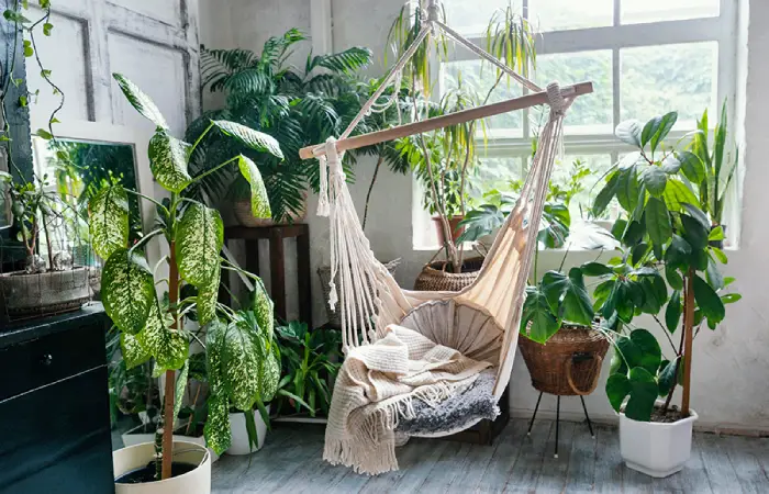 Refresh the Space with Plants