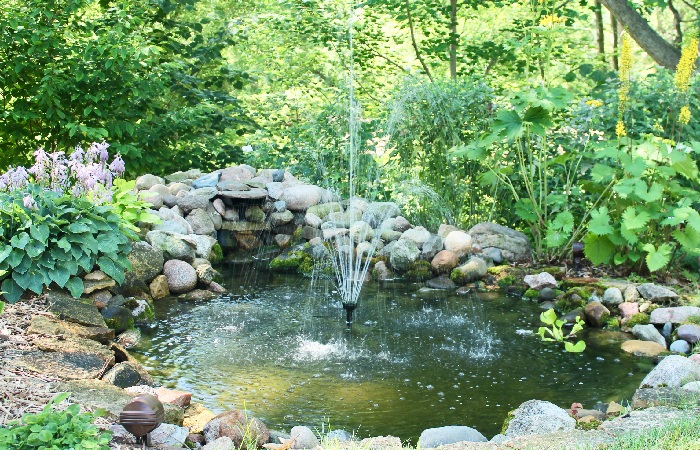 In the Case of a Water Garden without Plants