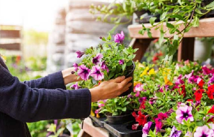 Elements of a Nursery