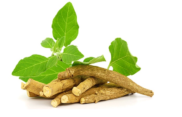 What is Ashwagandha?