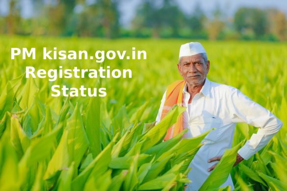 pm kisan.gov.in registration status