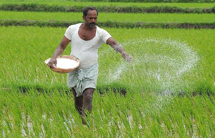PM Kisan Status