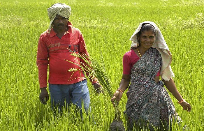 PM Kisan Registration Status 2023