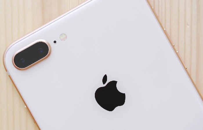 What do Rajkot Updates say on the Export of Apple in India?