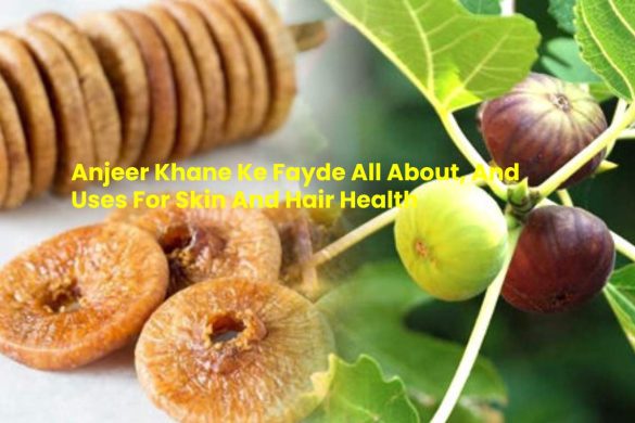 Anjeer Khane Ke Fayde All About, And Uses For Skin And Hair Health