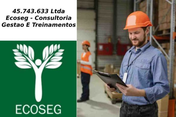 45.743.633 Ltda Ecoseg - Consultoria Gestao E Treinamentos