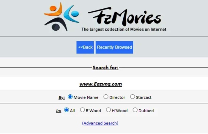 What are Fz Movies_