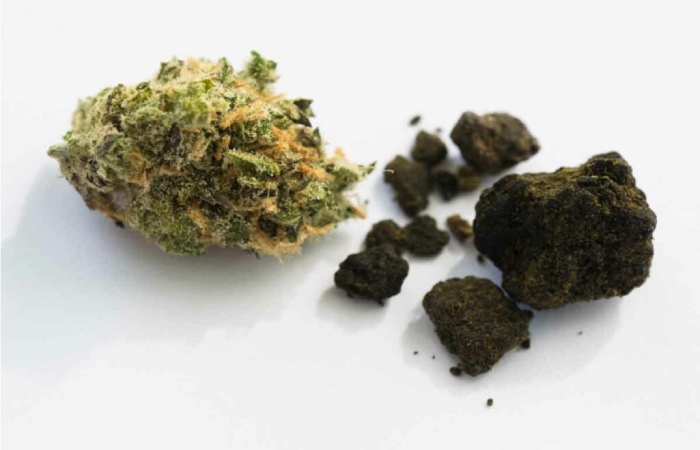 What are the differences between Marijuana and Hashish_
