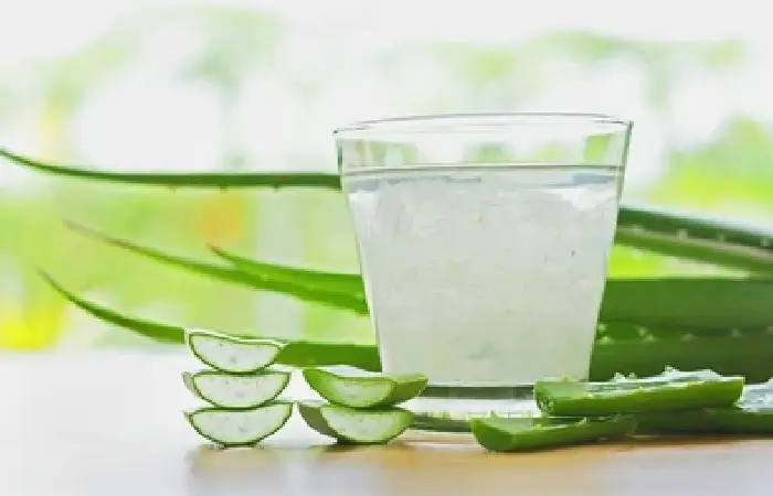 Aloe Vera Juice Write for Us (1)