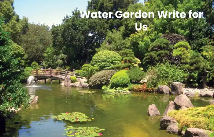 Water Garden Write for Us