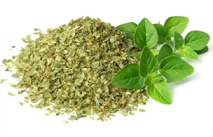 Oregano Write for Us