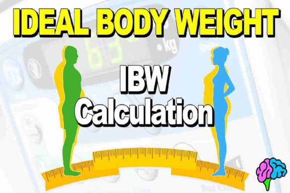 Learn How To Calculate Your Ideal Weight