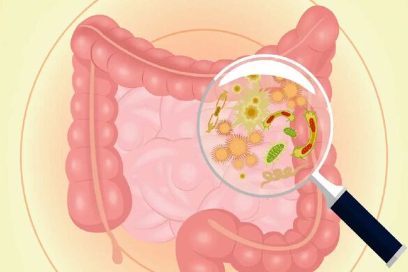 What are Intestinal Bacteria, and why are they Significant_