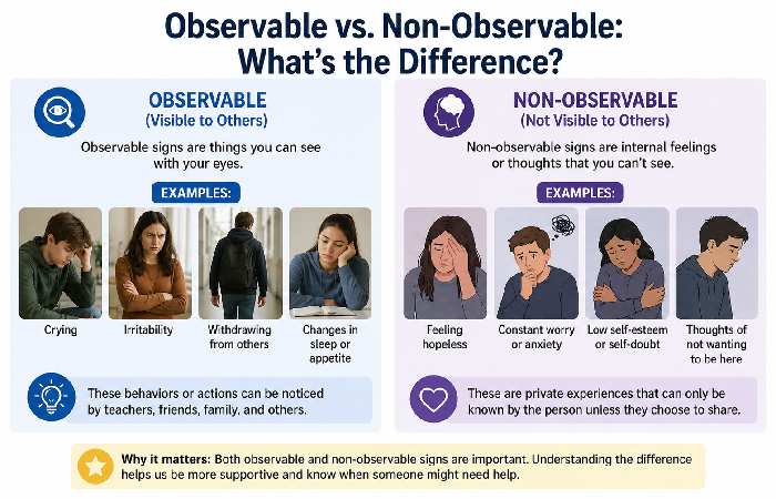 Observable vs. Non-Observable_ What’s the Difference